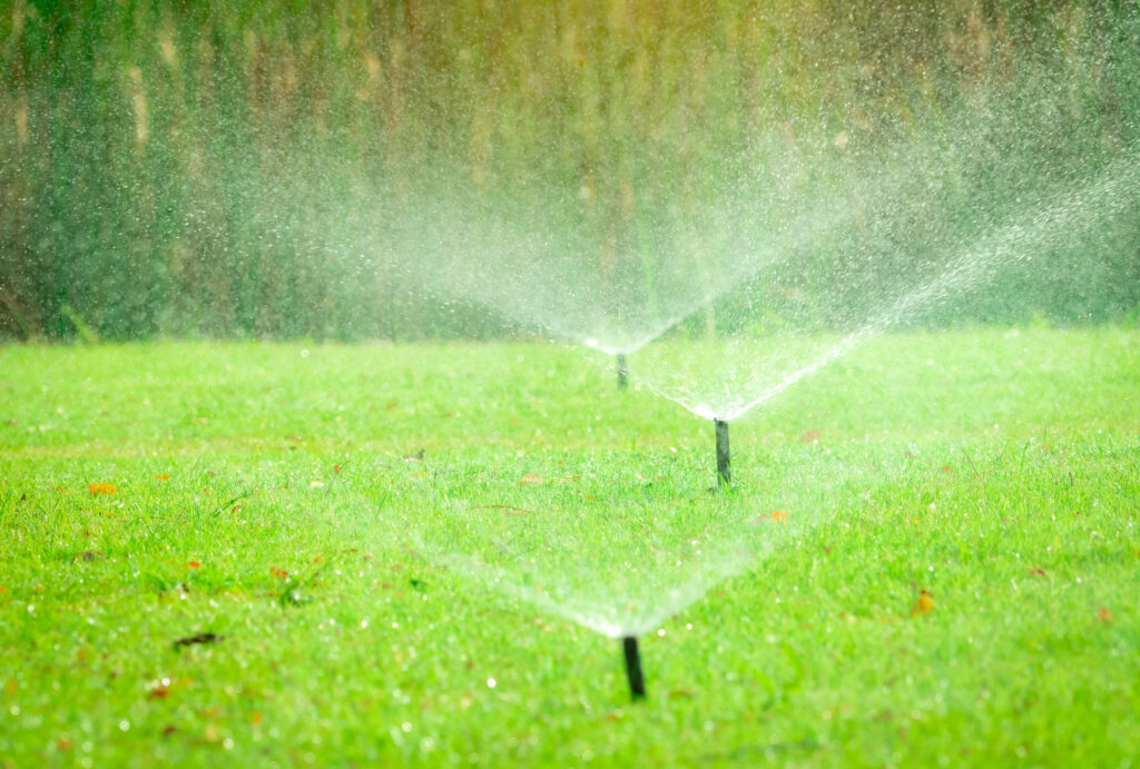 Stock Photo 1 - Irrigation