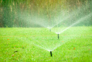 Stock Photo 1 - Irrigation