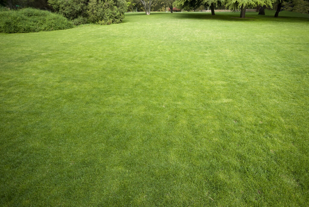 Stock Photo 10 - Lawn Care