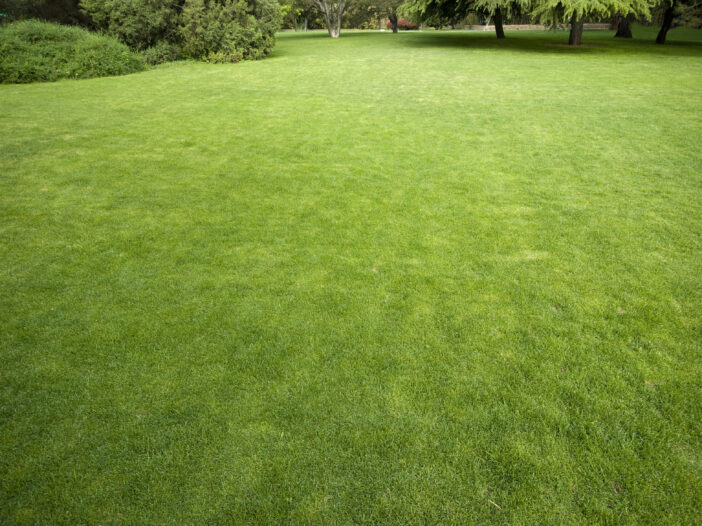 Stock Photo 10 - Lawn Care