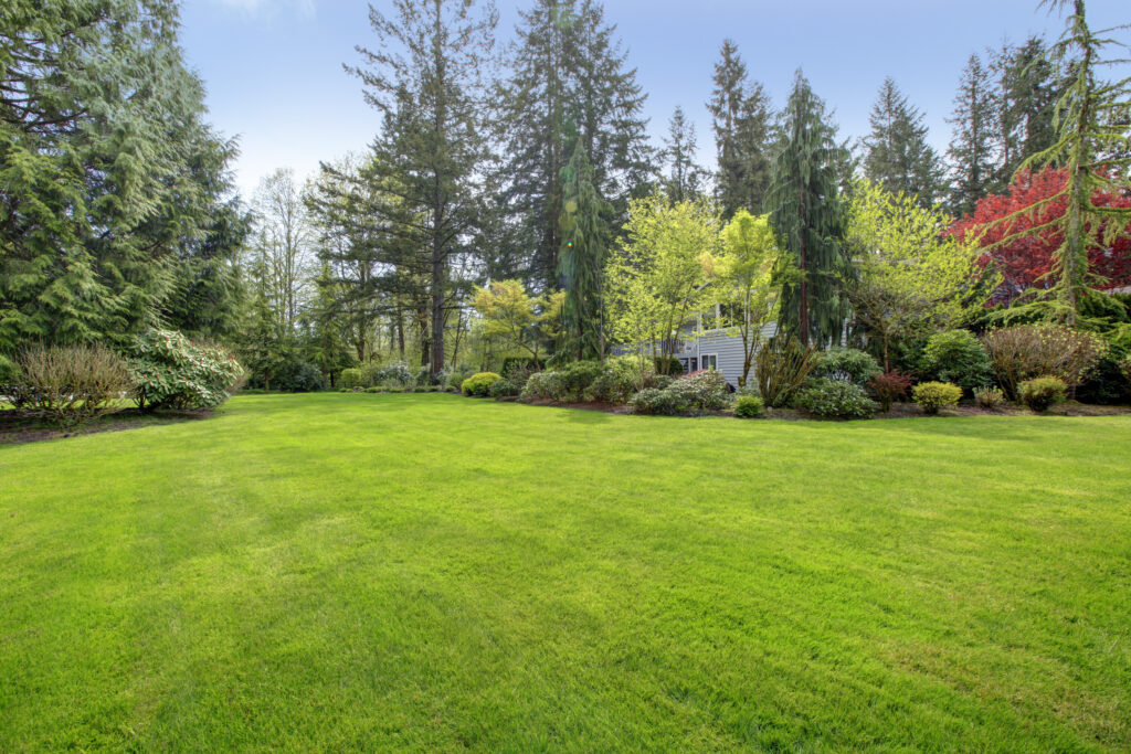 Stock Photo 6 - Lawn Care