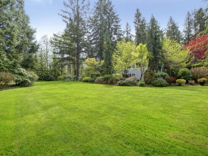 Stock Photo 6 - Lawn Care