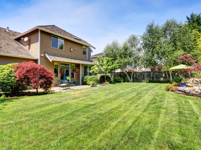 Stock Photo 7 - Lawn Care