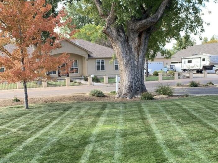 canon-city-colorado-landscaping-companies