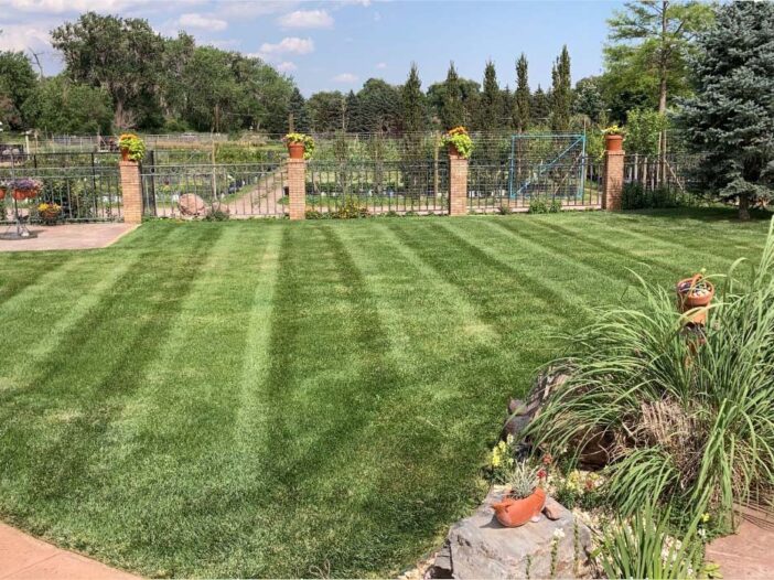 canon-city-colorado-lawn-landscape-company