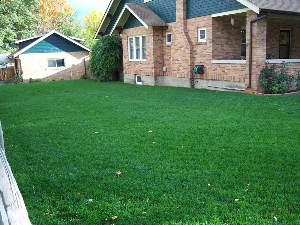 pueblo-colorado-lawn-care