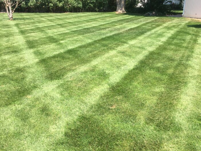 pueblo-colorado-lawn-mowing