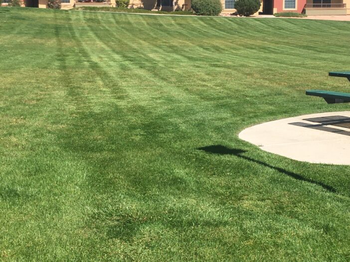 pueblo-colorado-lawn-mowing-company