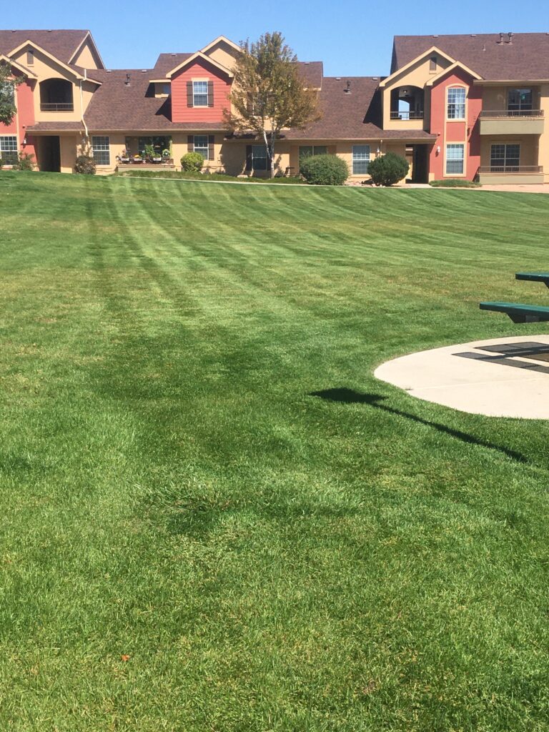 pueblo-colorado-lawn-mowing-company